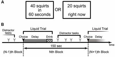 Prefrontal-Striatal Mechanisms of Behavioral Impulsivity During Consumption of Delayed Real Liquid Rewards